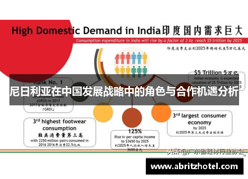 尼日利亚在中国发展战略中的角色与合作机遇分析